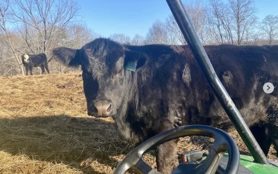 Not So Romantic Side of Farming & New Product Offerings